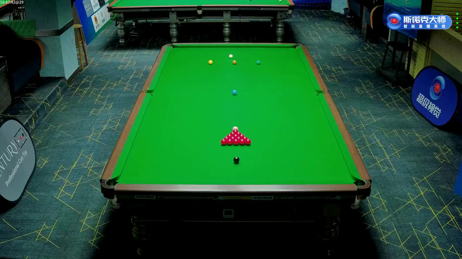 【直播】肇庆蓝钻 VS 肇庆金爵"超级视觉杯“2024