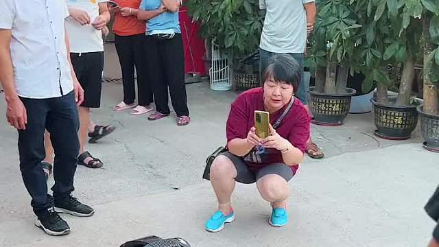 农庄来了只有社牛症的“狗子”