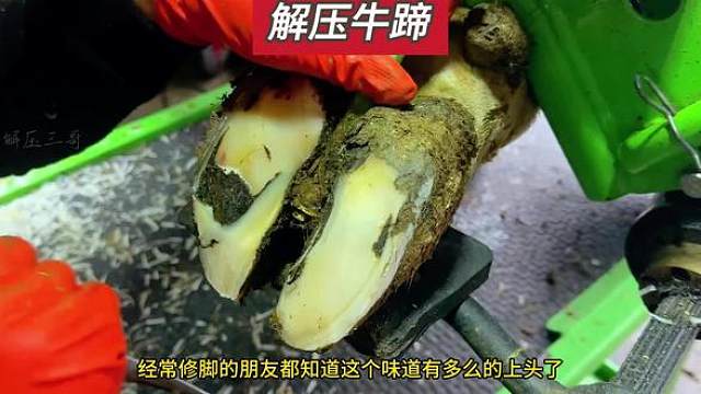 情况不太妙，牛蹄里面又发了泡#解压 #助眠 #强迫症 #治愈系 #极度舒适