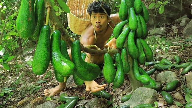 生活在盛产鳄梨果实的丛林里，处处充满危险和机遇，今天从巨蟒手中救下只小羊