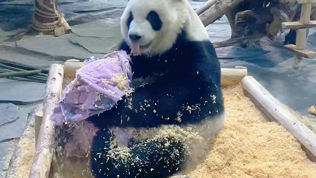 洗呀洗～搓啊搓，做一只爱干净的小熊