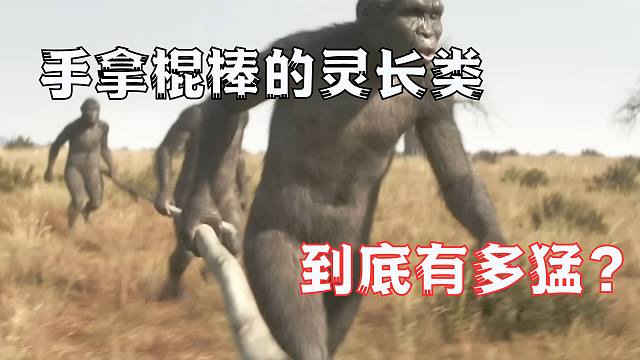 你为什么怕蛇？