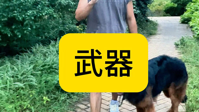 拿起武器捍卫大狗的权益