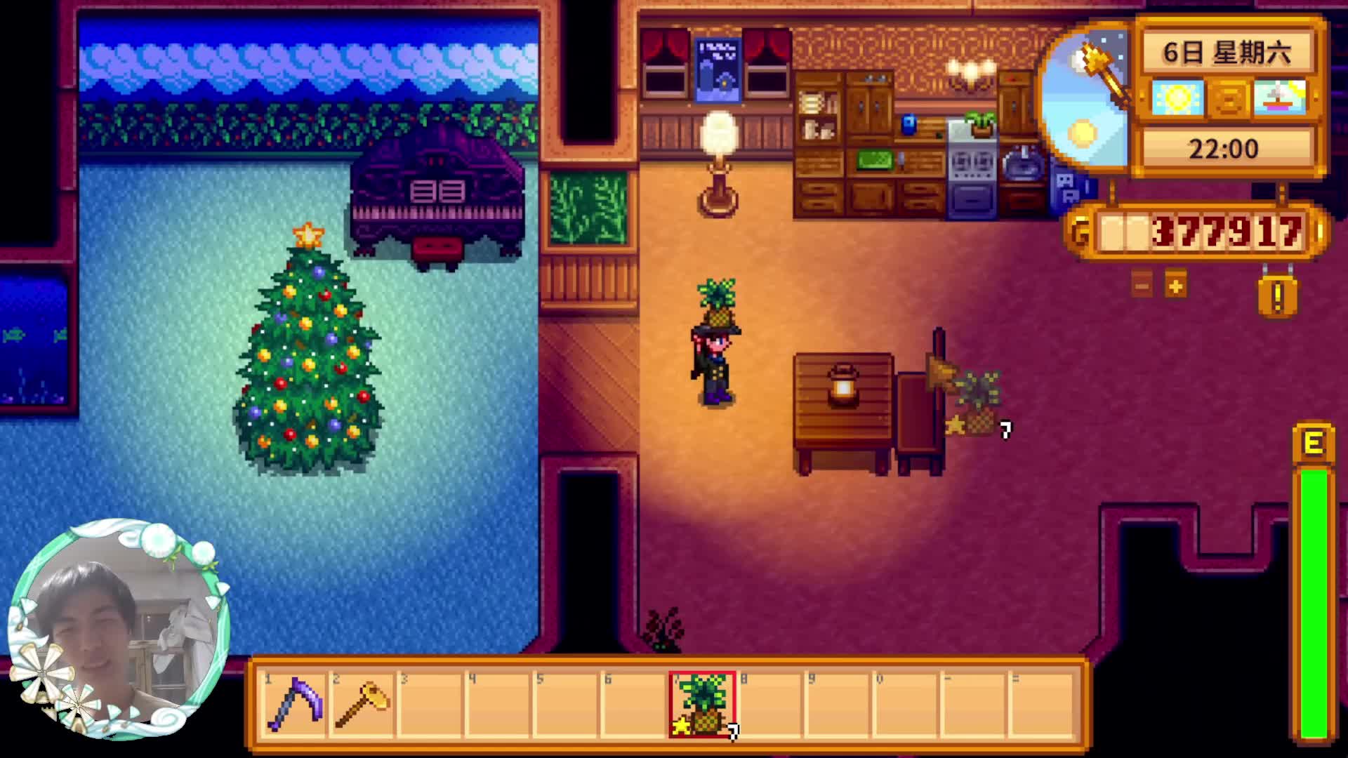 【星露谷物语】我的家，怎么样！