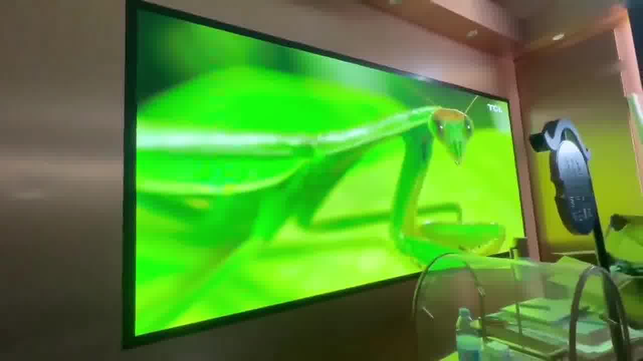 8d02f20f4f54c81b56bf12b33611d16a