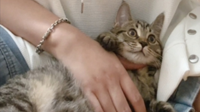 可爱到让人想立刻养一只！