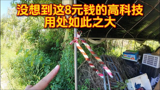 真没想到，花8元买的高科技，用处竟然如此之大