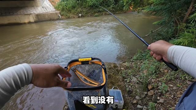 【桃江阿宝】最新视频上线，求关注！