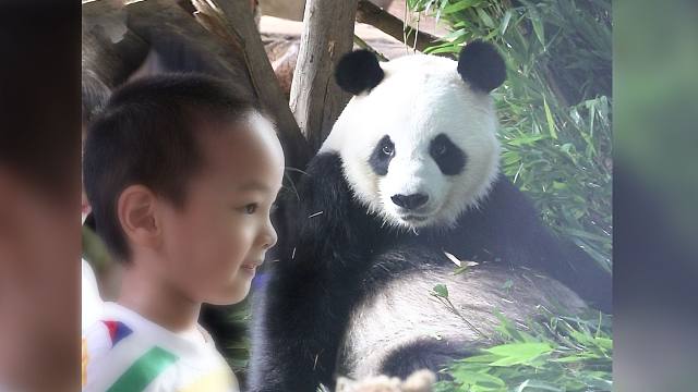 我的眼里全是你