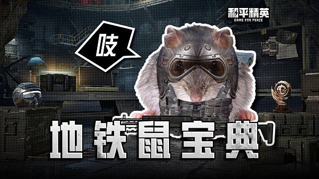 一声鼠，一生鼠！鼠鼠模拟器，启动！