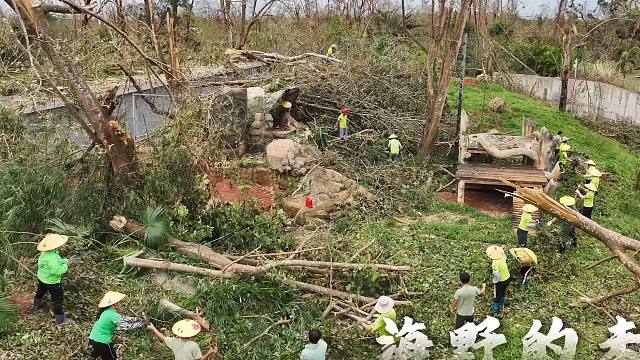 人在、动物在、海野就在，只不过是从头再来！