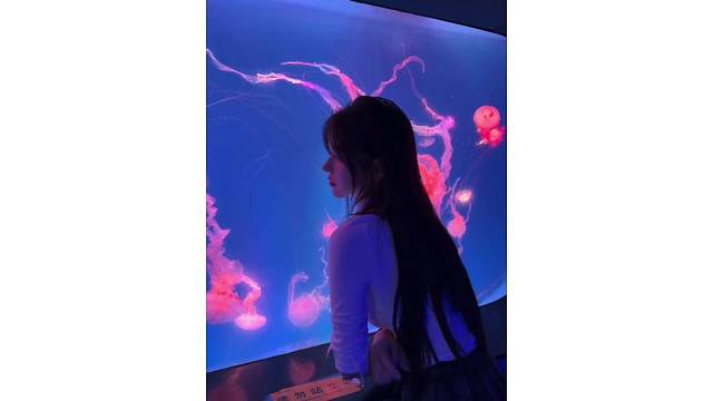 下次见面一起去海洋馆吧…