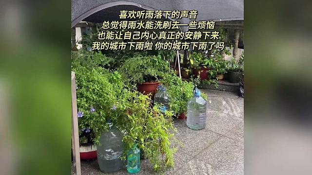 喜欢听雨落下的声音 总觉得雨水能洗刷去一些烦恼 也能让自己内心真正的安静下来 我的城市下雨啦