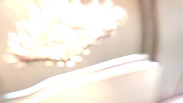 它是家的守护者