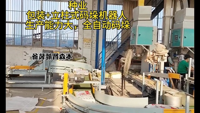 包装码垛机 立柱式码垛机器人  生产能力大全自动码垛种子码垛，码垛种子，种业堆包机，种子码垛机，机器
