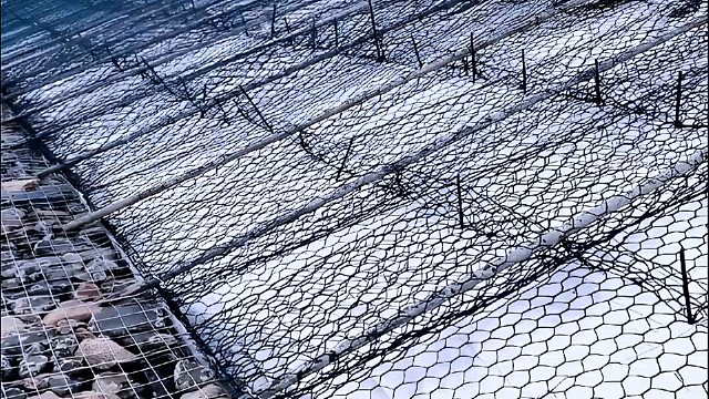 #石笼网生产厂家#水利工程#河道治理#护坡