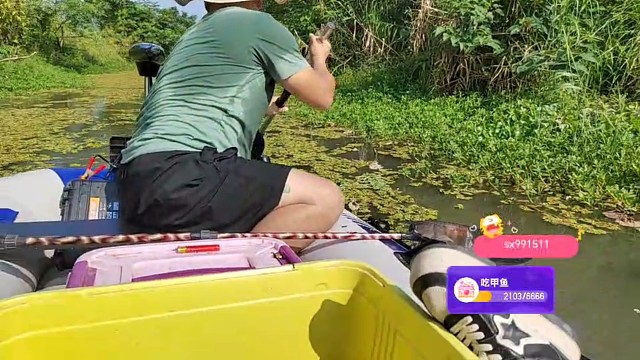 真实野钓甲鱼，中货瞬间