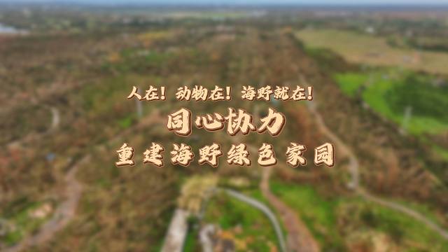 人在、动物在、海野就在，只不过是从头再来！