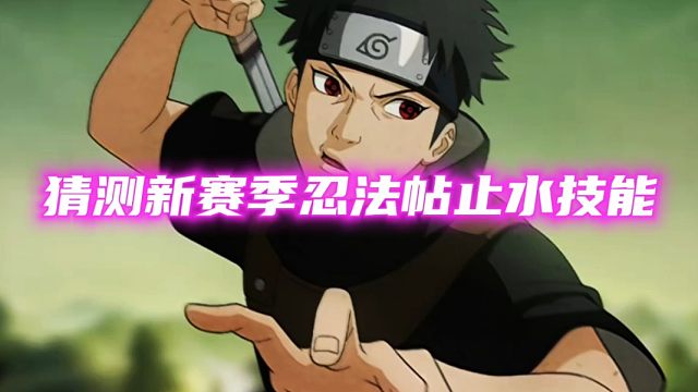 大胆猜测忍法帖止水技能