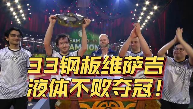 《33钢板维萨吉 液体不败夺冠！》刀塔名画 TI2024篇