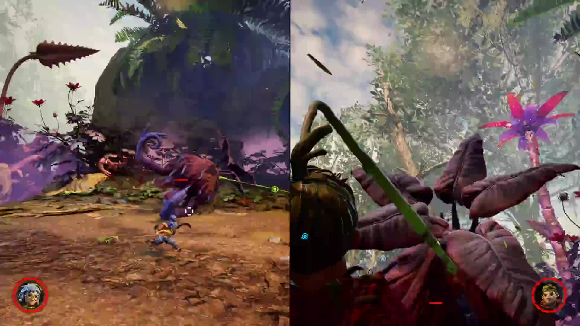 甜蜜的双人成行（八）