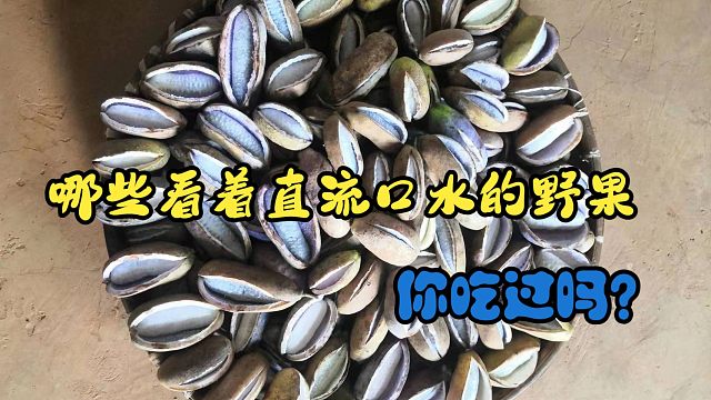 盘点一下秋季哪些你可能未曾吃过的山间野果！