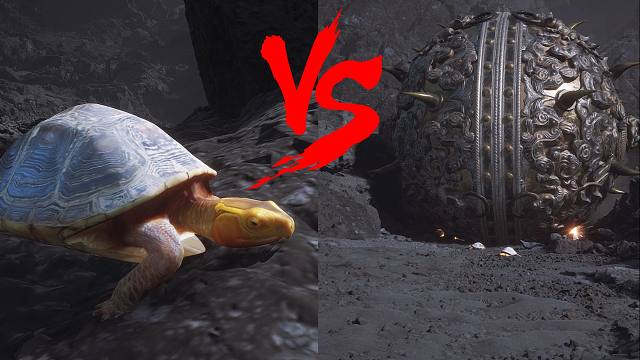 火焰山大铁球可以对龟龟造成伤害么？