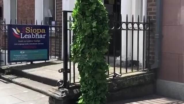 国外街头整蛊 (48)