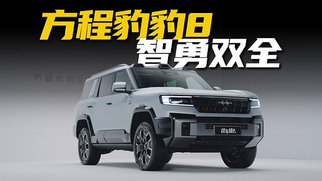 方程豹豹8的全功能云辇-P有多全？