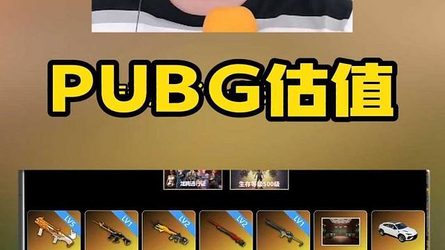 PUBG估值鉴定