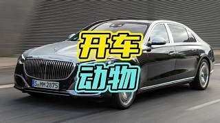 開(kāi)車遇到牢底坐穿獸該怎么辦…#小浣熊 #開(kāi)車 #搞笑