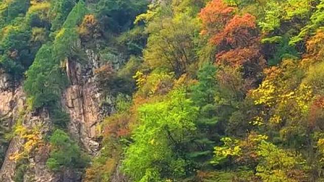 国道108陕西西安周至县段沿途秦岭秋色 #最美的风景在路上 #旅行推荐官 #秦岭