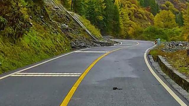 国道317四川阿坝州理县段沿途米亚罗秋色 #最美的风景在路上 #旅行推荐官 #米亚罗 #川西