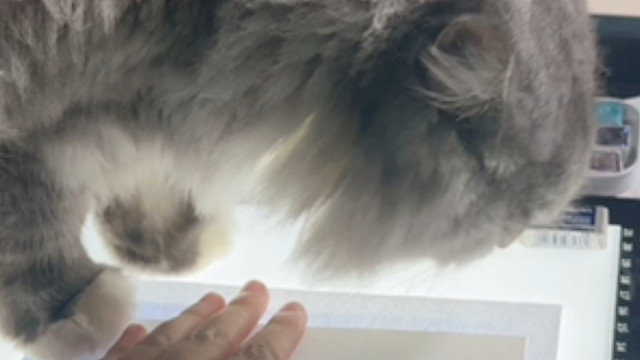 他跳上去的那一刻我心脏骤停