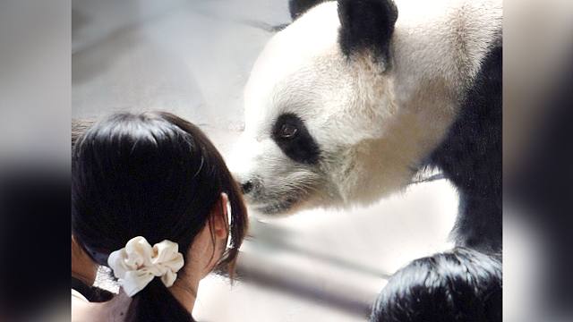 这位姨姨，我好像在那见过