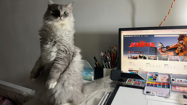 不是啊，大晚上的他一直看我后面干啥啊？？？