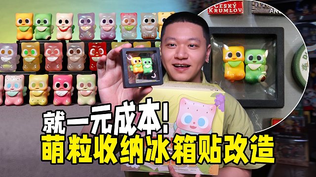 Pitty萌粒买太多了！要怎么收纳展示才好呢？