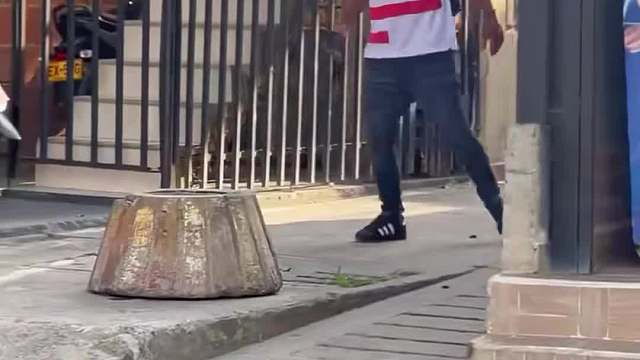 国外整蛊盘点 (17)