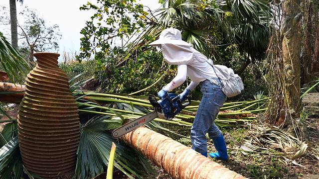 感谢最可爱的猫粉朋友们支援海野灾后重建！受灾也要好好过节！让我们和岛主们一起过中秋吧