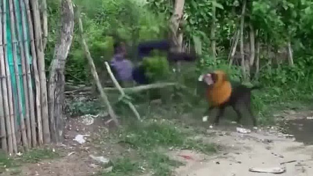 国外街头整蛊 (16)