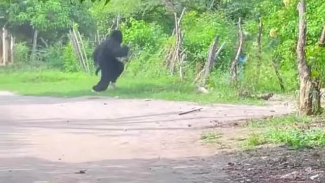 国外街头整蛊 (10)