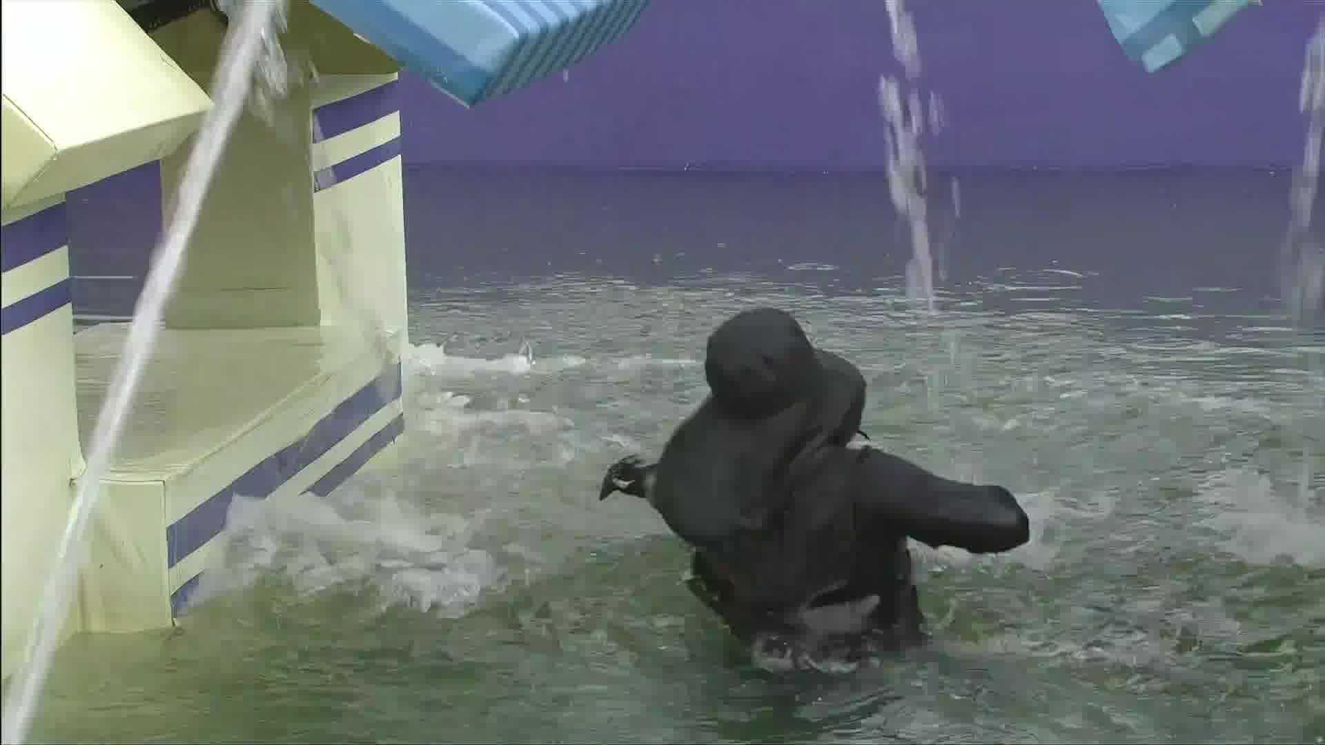 桐桐落水视频2