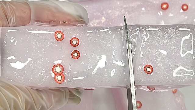 沉浸式剪蜜桃椰果～