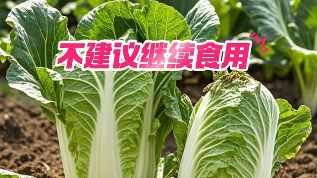 被洪水淹没后的蔬菜瓜果扔了可惜，还是吃了比较好？