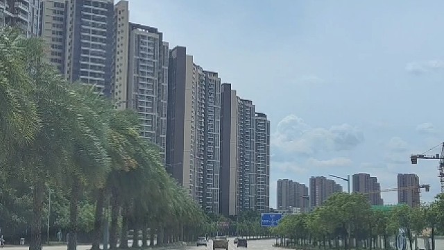 新手发生交通事故，第一个电话应该打给谁#汽车知识 #每天一个用车知识