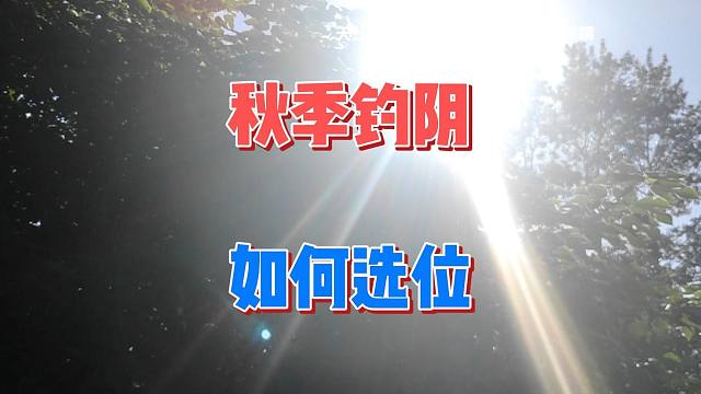 都说秋季野钓钓阴凉，但为啥鱼口却不好？原来这个位置总在变