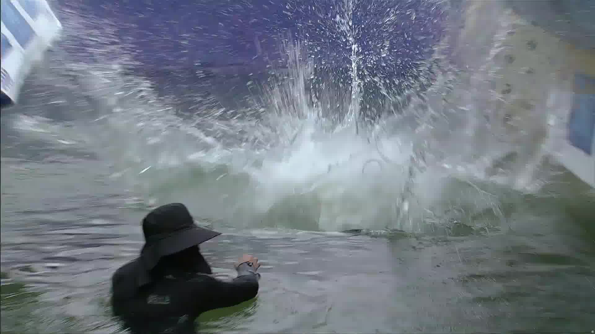 德云两鬼落水视频