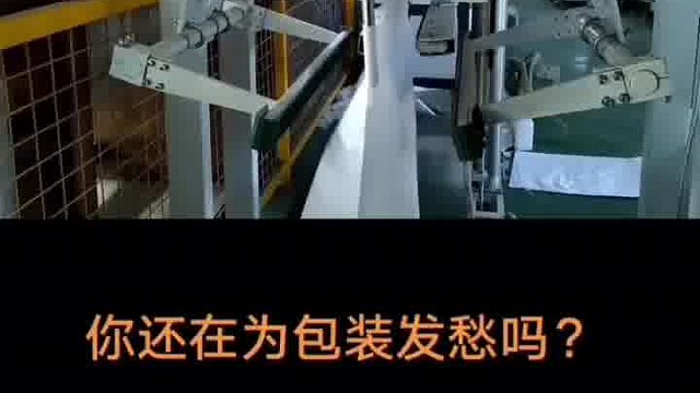 全自动上袋包装机