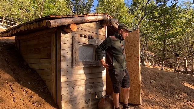 山间生活和小动物不为人知的故事，居住在自己建造的小木屋，独自快乐地生活着。