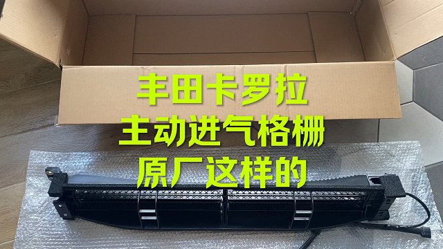 丰田卡罗拉主动进气格删什么样子？